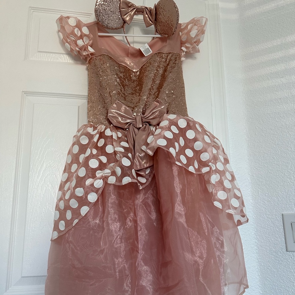 Mine Mouse Rose Gold Adult Costume with ears